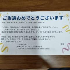 PEACH-PIT 25周年特別展 名古屋会場 招待券2枚 - 4