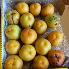 無農薬 あんず キズありのサムネイル