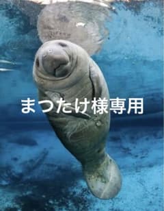 まつたけ様専用のサムネイル