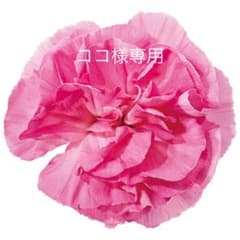 ココ様専用のサムネイル
