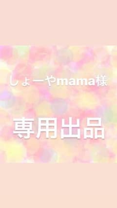 しょーやmama様 専用出品のサムネイル