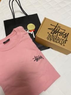 【値段交渉可！】ステューシー Tシャツのサムネイル