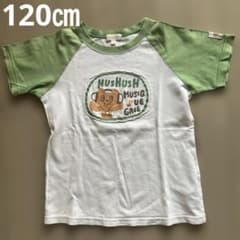 HusHusH 半袖 Tシャツ 120cm クマ柄　綿100%のサムネイル