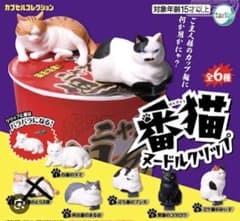 번 고양이 누들 클립 5종 세트 뽑기 캡슐 토이 고양이 피규어