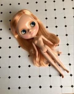マドモアゼルローズバド ネオブライス 本体のみ - メルカリ