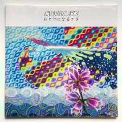 美盤 美品 2LP レコード Evisbeats ひとつになるとき エビスビーツ