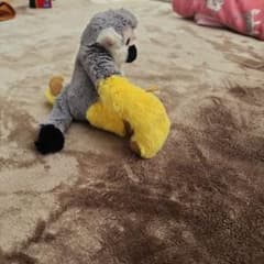 ご確認用のサムネイル