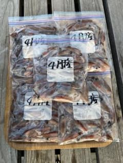 【富山県産ホタルイカ】冷凍釣り餌300gを15セット ヤマト運輸80サイズのサムネイル