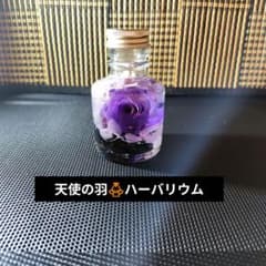 ＊天使の羽▪ハーバリウム＊のサムネイル