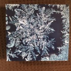 THA BLUE HERB 最新作 限定盤CD4枚組のサムネイル