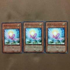 救世竜 セイヴァードラゴン(2枚)、デブリドラゴン(3枚)のサムネイル