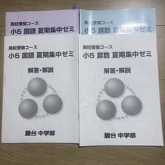 駿台中学部 小5 夏期集中ゼミ 国語 算数セット　書き込みありのサムネイル