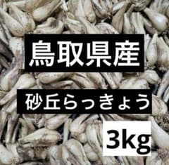 鳥取県産　砂丘らっきょう　3kgのサムネイル