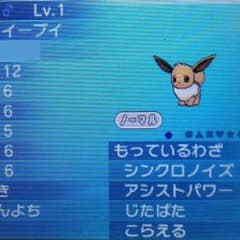 イーブイ♂ C抜け5v  inプレボのサムネイル
