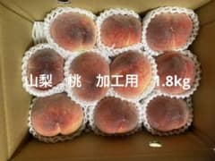 야마나시 복숭아 가공용 1.8kg