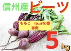 信州産ビーツ】5kg 【有機肥料使用・化学農薬不使用】 - メルカリ