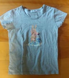 SIKA 半袖Tシャツ グレーのサムネイル
