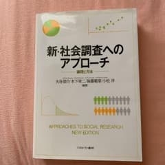 新・社会調査へのアプローチ : 論理と方法のサムネイル