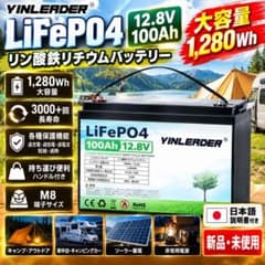 LVYUAN YINLEADER 인산철 리튬 100Ah 12.8V 1