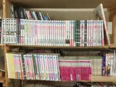 【セット漫画】中村春菊全巻セット 純情ロマンチカ 世界一初恋など【BL】のサムネイル