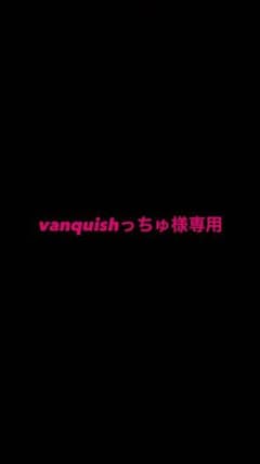 vanquishっちゅ様専用のサムネイル