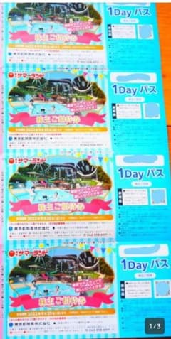 東京サマーランド フリーパス チケット 優待 4枚のサムネイル