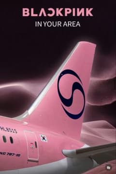 非売品/当選品】BLACKPINK 大韓航空 特別塗装機 モデルプレーン 模型