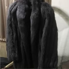 毛皮サガーフォックスお値下げのサムネイル