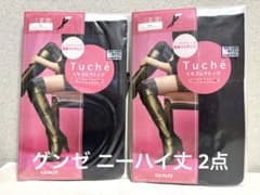 GUNZE Tuche ニーハイ丈 2点セット ブラックブラウン