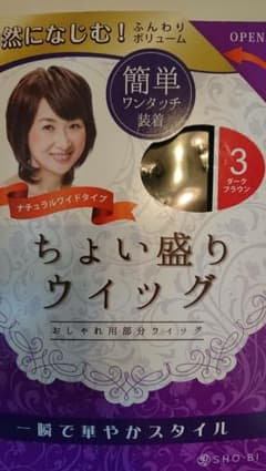 ちょい盛りウィッグのサムネイル