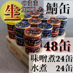 旬鯖 生のまま加工 鯖缶 サバ 水煮味噌煮 48個 国産 ゆう80 - メルカリ