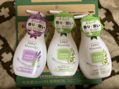 まひゅー様専用　オリーブ2本、ラベンダー1本のサムネイル