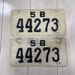 m21167162421_1.jpg?1736907057