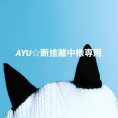 AYU様専用ページのサムネイル