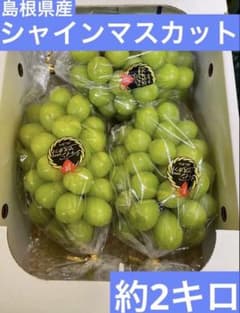 203【島根県産】シャインマスカット約2キロ(3〜5房) - メルカリ
