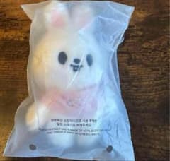 StrayKids テディベア 5'clock リービット SKZOO リノ StrayKids リノ テディベア 5'clock リービット SKZOO