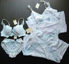 サルート【シレーヌ】ブラ・ショーツ・スリップ＆ネグリジェ(ワコール)定価6万円 サルート【シレーヌ】ブラ・ショーツ・スリップ＆ネグリジェ(ワコール