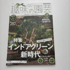 NHKテキスト 趣味の園芸 2026年7月号のサムネイル