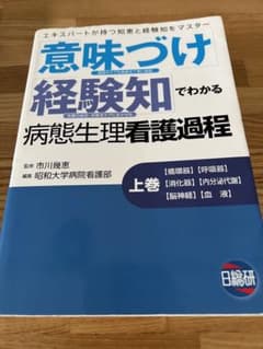 「意味づけ」「経験知」でわかる病態生理看護過程 エキスパートが持つ知恵と経験知…のサムネイル