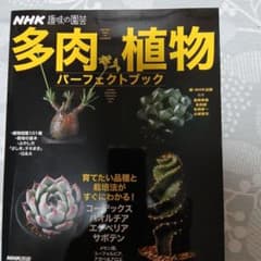 NHK趣味の園芸 多肉植物 パーフェクトブック 写真も美しいです