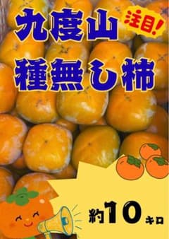 和歌山県 九度山産 たねなし柿 10kgのサムネイル