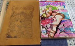 【超希少本】緋本こりん　オリジナルイラスト集1 銀の遥国【日航機】 超希少本】緋本こりん オリジナルイラスト集1 『銀の遙国』【日航機