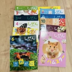 本 しぜん キンダーブック 絵本 12冊セット まとめ売り 知育 がっき て