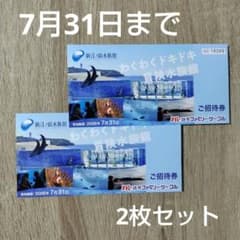 新江ノ島水族館 2枚 ご招待券 2026年7月31日まで - メルカリ