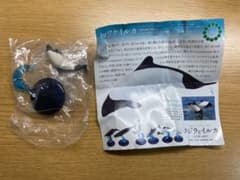 イルカとクジラ ガチャガチャ イロワケイルカのサムネイル