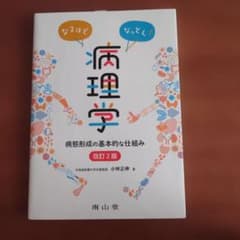 病理学 病態形成の基本的な仕組み 改訂2版 小林正伸 南山堂のサムネイル