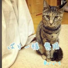 ばりー様 専用のサムネイル