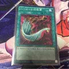 ハーピィの羽根帚のサムネイル