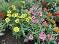 うた工房様確認用のサムネイル
