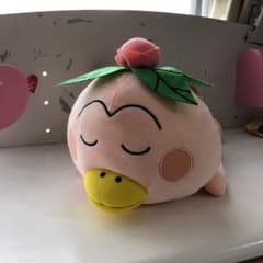 ぬいぐるみ　　はなかっぱのサムネイル